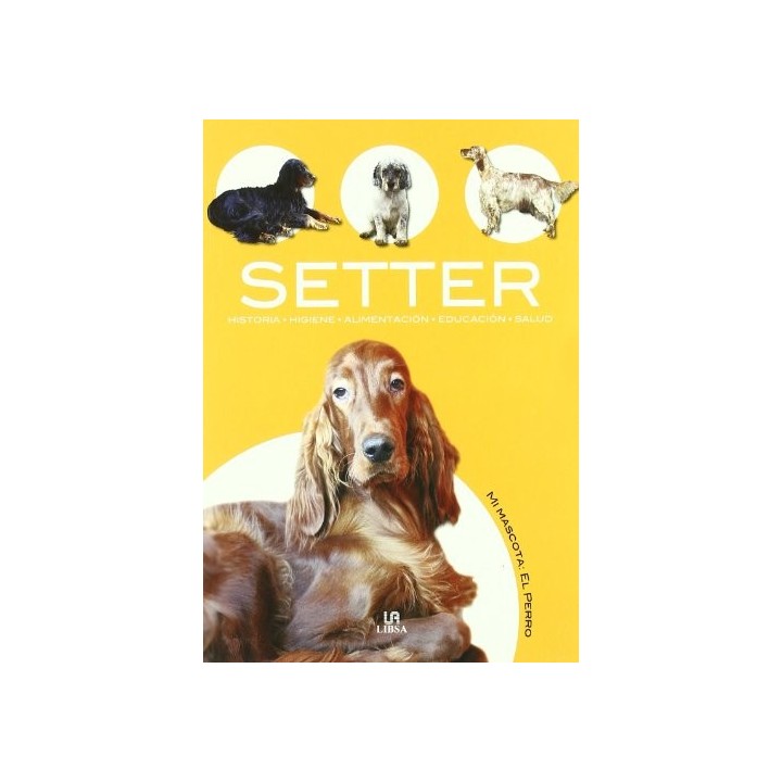 SETTER INLGÉS: Historia, Higiene, Alimentación, Educación y Salud.